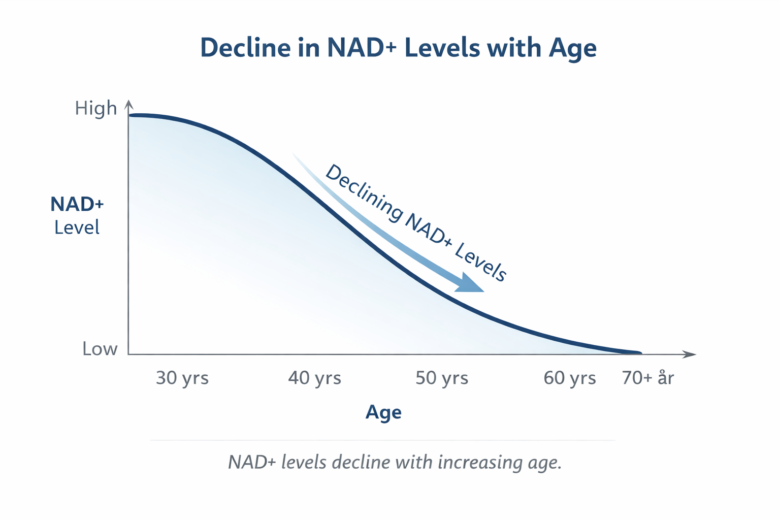 Hvorfor synker NAD⁺-nivåene med alderen – og hva betyr det for kroppen?
